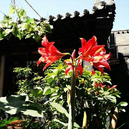 Pingyao Tian Yi Hostel Exteriör bild