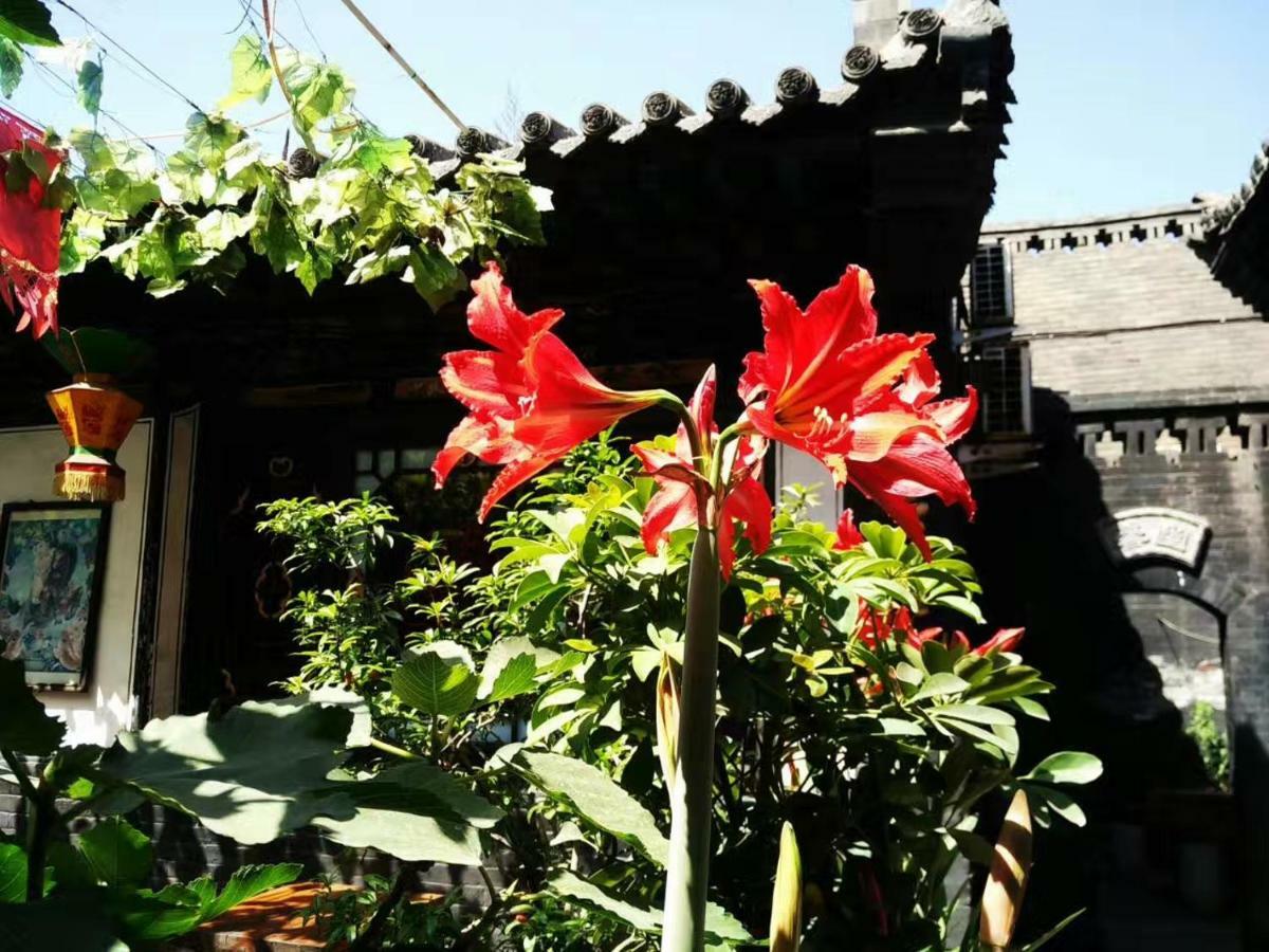 Pingyao Tian Yi Hostel Exteriör bild